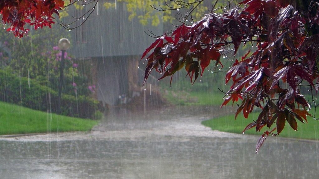 ΕΜΥ: Βροχές και καταιγίδες την Τετάρτη