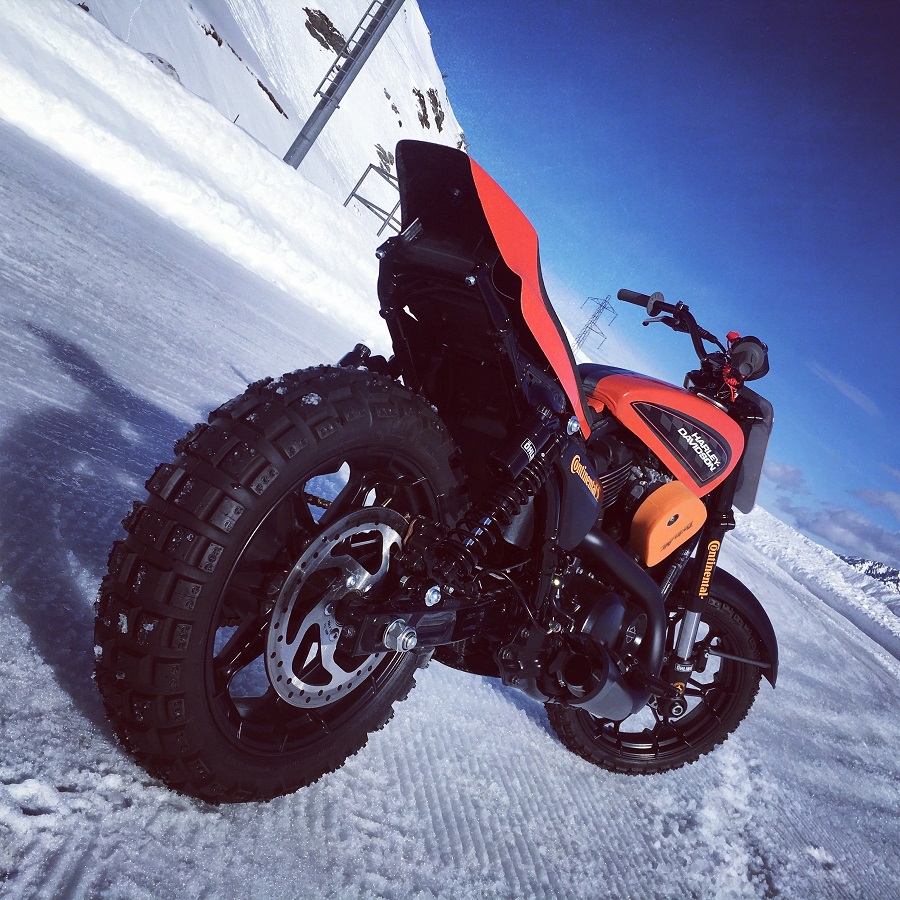 Η Harley στο SnowQuake