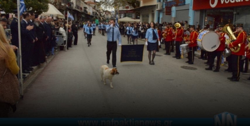 Ναύπακτος: Αδέσποτος σκύλος παρέλασε και καταχειροκροτήθηκε (Video)