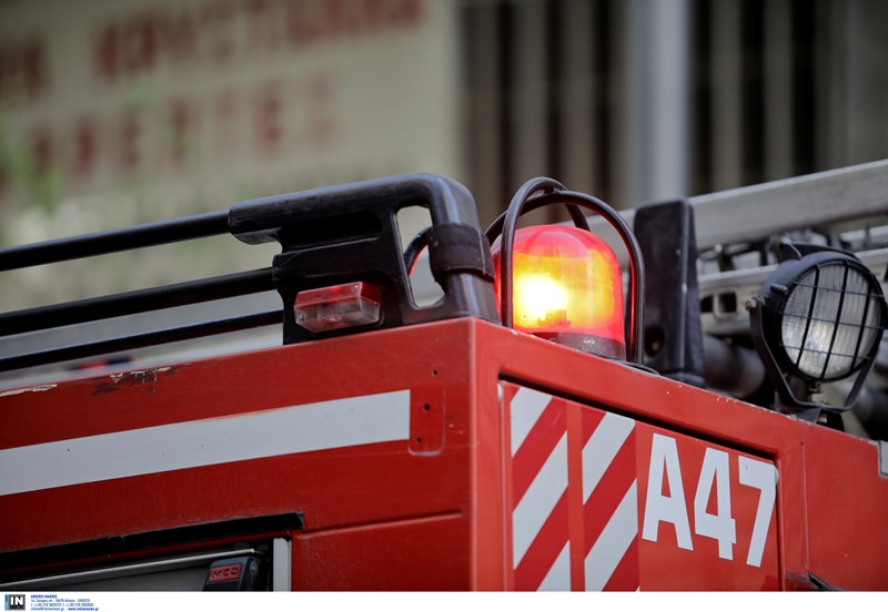 Μεγάλη πυρκαγιά σε εργοστάσιο στα Οινόφυτα Βοιωτίας