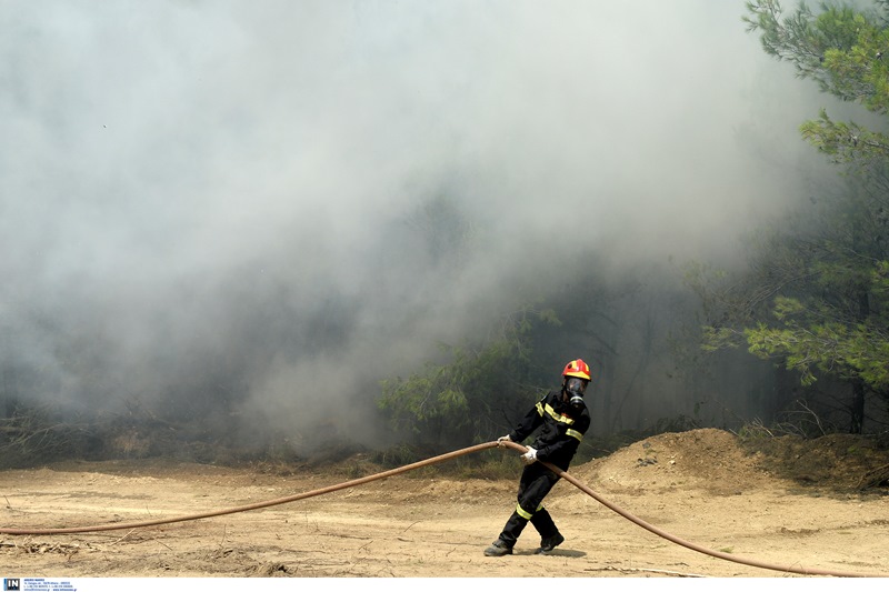 Αγρίνιο: Φωτιά σε δασική έκταση στα Αμπέλια