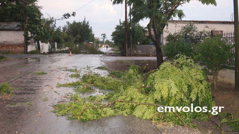 Ισχυρή ανεμοθύελλα «σάρωσε» τα Τρίκαλα  – ΄’Αρχισε η καταγραφή των ζημιών (Photos – Video)