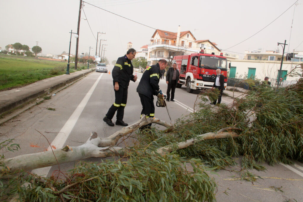 Πτώσεις δένδρων από ισχυρούς ανέμους μετά βροχής στη Θεσσαλονίκη