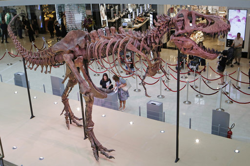 Ανακάλυψαν γιγαντιαίο δεινόσαυρο ηλικίας πάνω από 200 εκατομμυρίων ετών