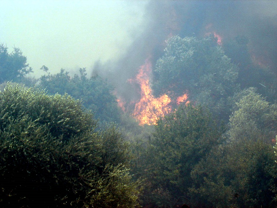Μεγάλη πυρκαγιά στην Κεφαλονιά – Σε επιφυλακή για εκκένωση το χωριό Ζόλα (Video)