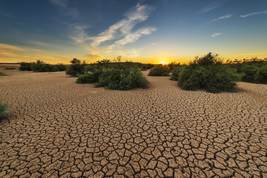 Καύσωνας, ξηρασία, φωτιές: η κλιματική αλλαγή δείχνει το μέλλον της Ευρώπης