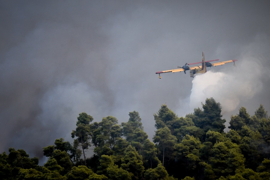 Νέα πυρκαγιά στην Ηλεία – Δεν κινδυνεύουν σπίτια