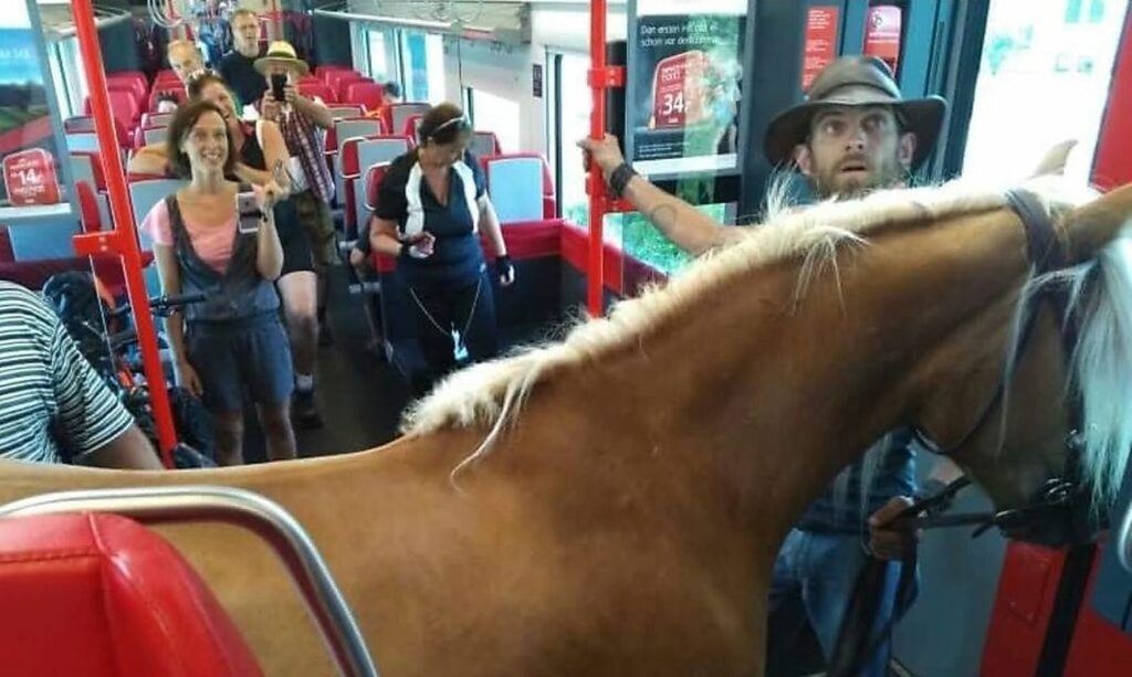 Μπήκε στο τρένο παρέα με το… άλογό του – Χαμός στα social media (Photo)