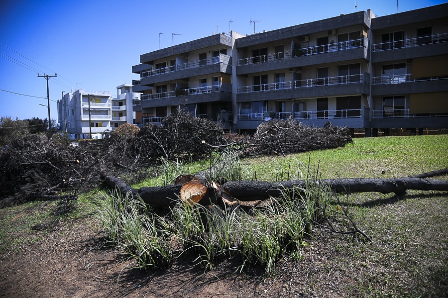 Πώς θα διοριστούν στο δημόσιο πληγέντες από τις πυρκαγιές- Ολόκληρη η υπουργική απόφαση για τους δικαιούχους