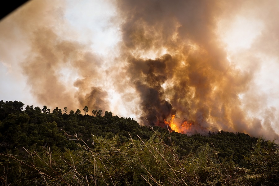 Σε ύφεση η πυρκαγιά στην Κέρκυρα – Επέστρεψαν στα σπίτια τους οι κάτοικοι στο χωριό Ραχτάδες