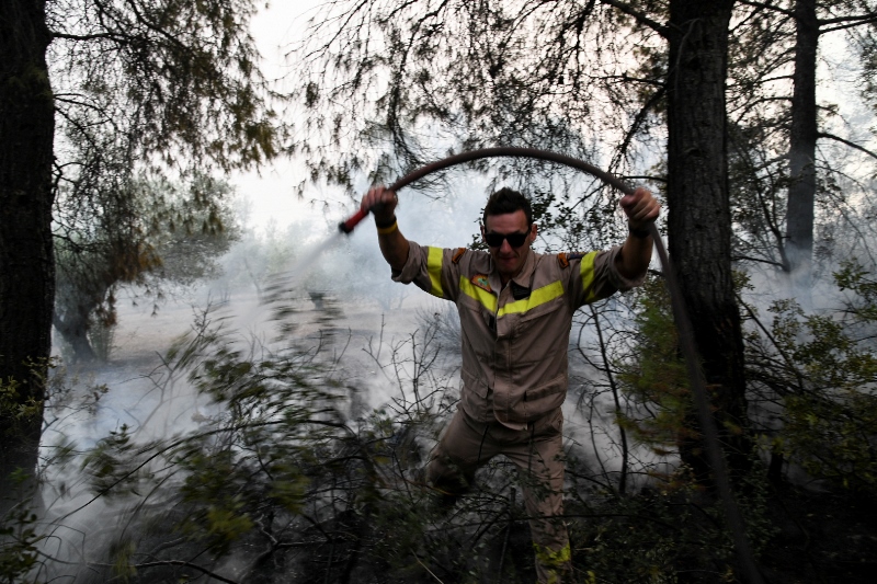 Αρχές του 2019 οι αποζημιώσεις του ΕΛΓΑ για τις πυρκαγιές στην Εύβοια