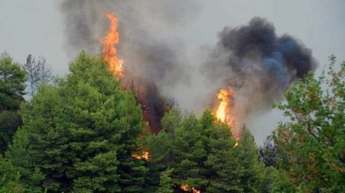 Πυρκαγιά σε αγροδασική έκταση στη Βέργα Καστοριάς