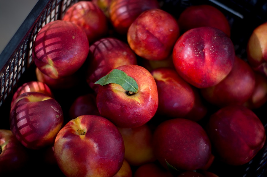 Δεσμεύτηκαν 2,2 τόνοι μήλα, νεκταρίνια και αχλάδια στον Πειραιά