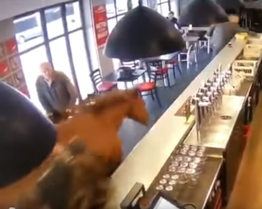 Άλογο εισβάλλει σε μπαρ και πανικοβάλλει τους θαμώνες (Video)