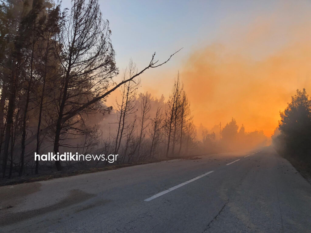 Χαλκιδική: Φωτιά σε δάσος στον Αρμενιστή Σιθωνίας – Εκκενώθηκε οικισμός (Photos)