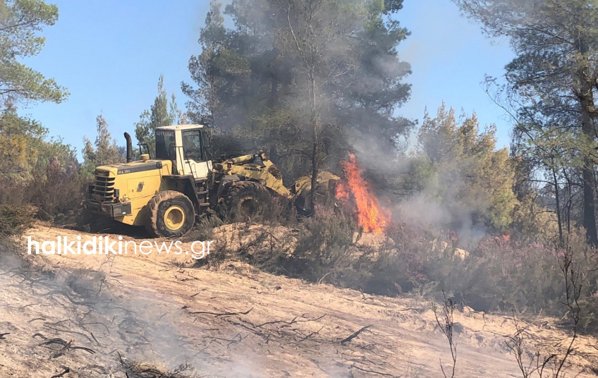 Καλύτερη η κατάσταση στην πυρκαγιά της Σάρτης – Έπεσαν οι άνεμοι (Video & Photos)