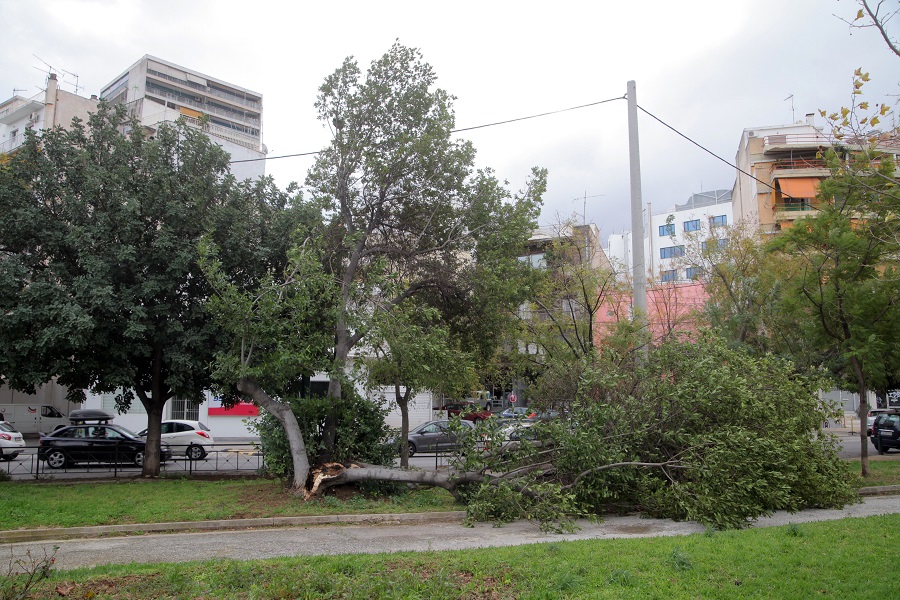 ΕΜΥ: Σε ισχύ έκτακτο δελτίο θυελλωδών ανέμων – Οι άνεμοι θα φτάσουν τα 9 μποφόρ