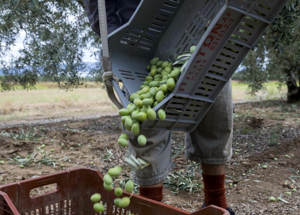 Δείτε για ποιους καταργείται το τέλος επιτηδεύματος – Το «χαράτσι» των 500 ευρώ