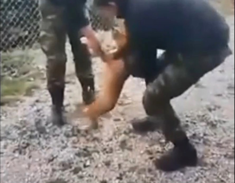 Στις 11 Δεκεμβρίου η δίκη των δύο στρατιωτών που πέταξαν σε γκρεμό σκυλίτσα (Video)
