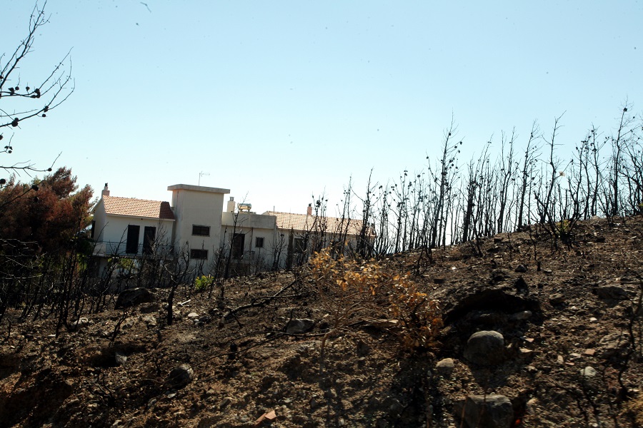 Εκατό δενδρύλλια στη μνήμη των θυμάτων της πυρκαγιάς στο Μάτι από τους κατοίκους του Σεφερχισάρ της Σμύρνης