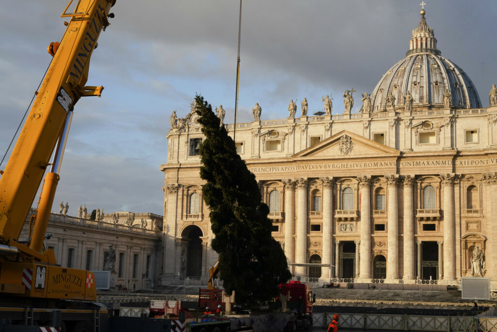 Έφτασε στην πλατεία του Αγίου Πέτρου το Χριστουγεννιάτικο δέντρο (Photos)