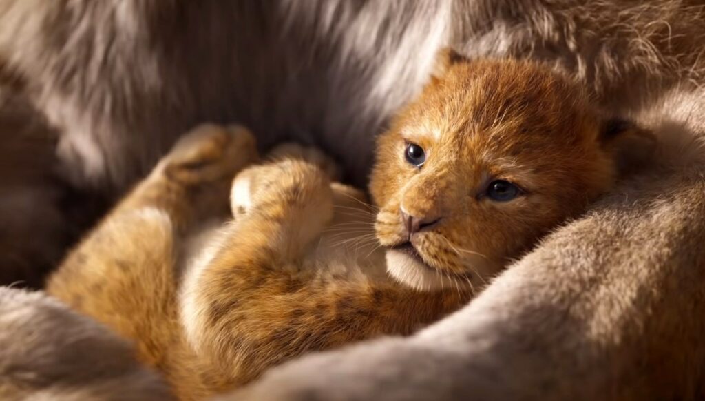 Δείτε το trailer του remake της πολυαγαπημένης ταινίας «Lion King» (Trailer)