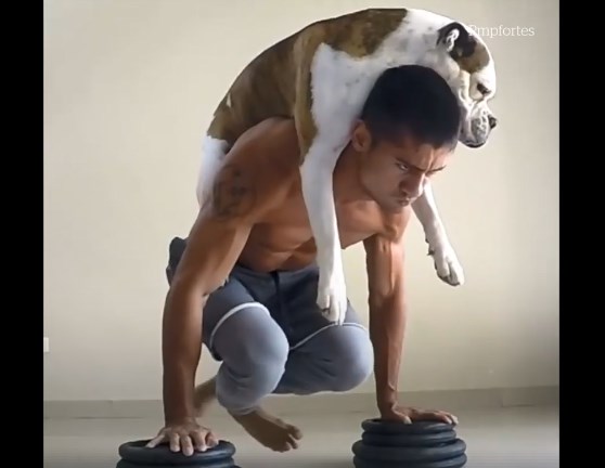 Αυτός ο σκυλάκος είναι ο καλύτερος personal trainer! (Video)