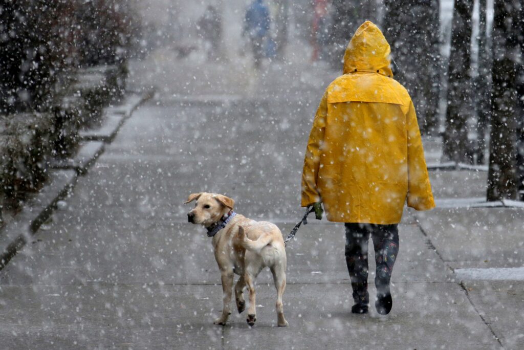 Προσοχή: Και τα σκυλιά κρυώνουν το χειμώνα! (Photos)