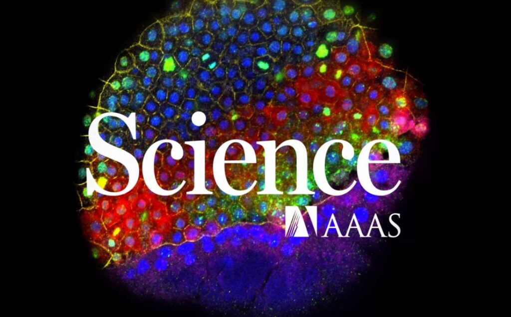 Science: Αυτό είναι το σημαντικότερο επιστημονικό επίτευγμα του 2018 (Video)