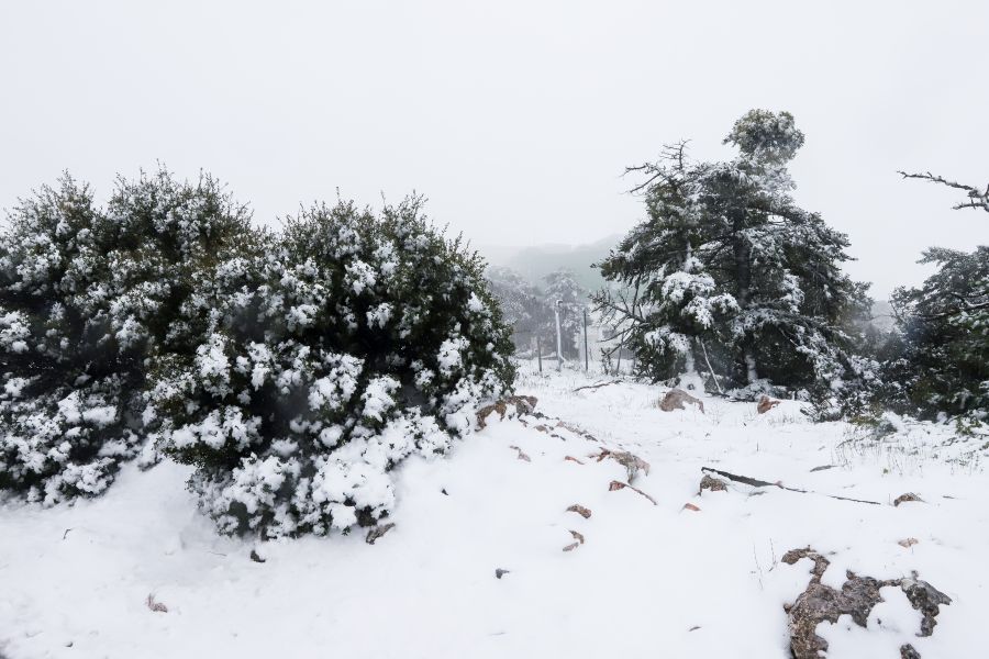 Με βροχές, καταιγίδες και χιόνια θα κάνει «ποδαρικό» το 2019 – Αναλυτική πρόγνωση του καιρού