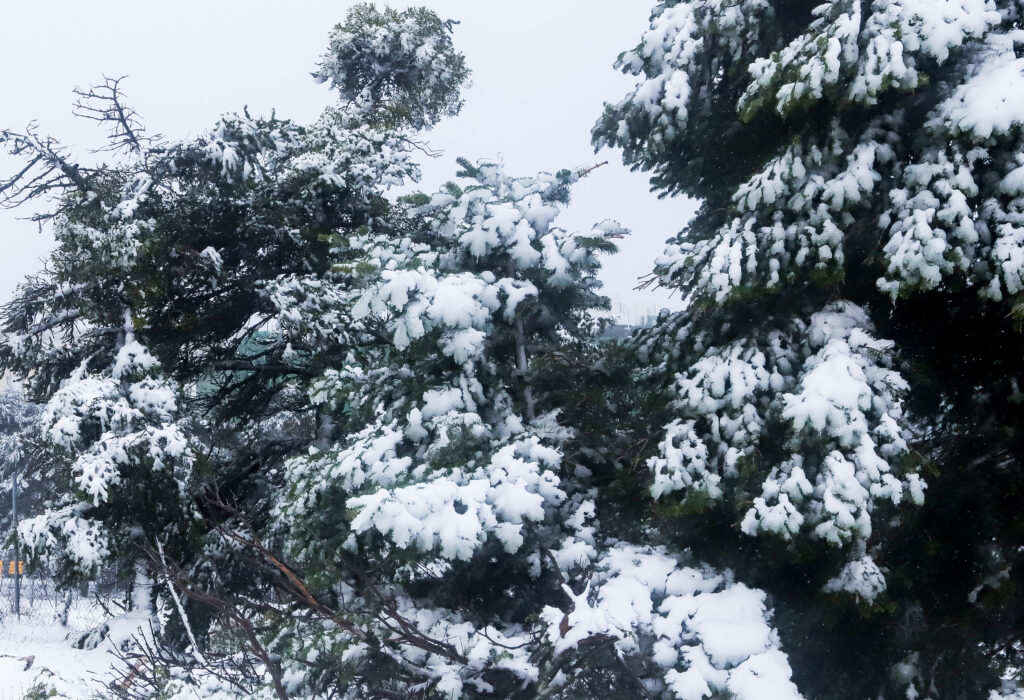 Φθιώτιδα: Eπιχείρηση για 50 εγκλωβισμένους στο Γαρδίκι λόγω χιονιού