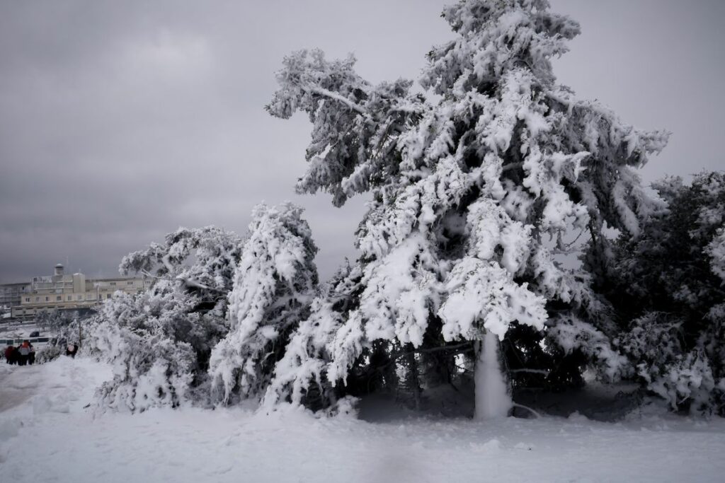Στο έλεος της «Σοφίας» η χώρα – Χιόνια και πολικές θερμοκρασίες στα βόρεια (Photos – Video)