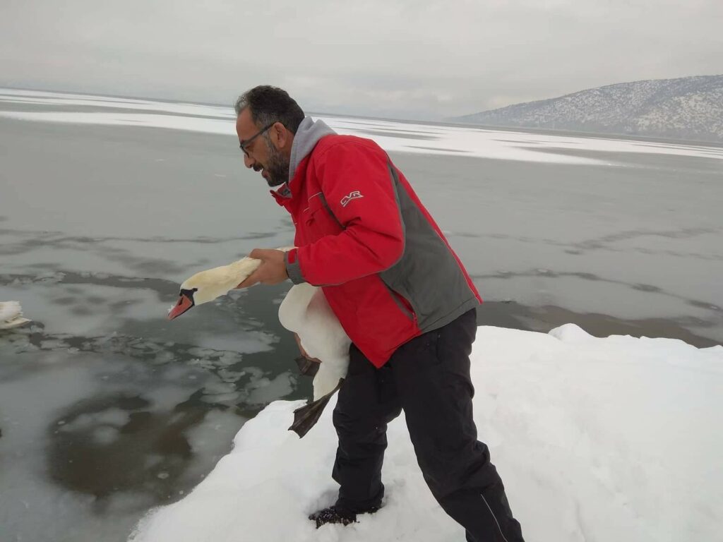 Καστοριά: Οι συγκινητικές εικόνες εθελοντών που σώζουν πουλιά από την παγωμένη λίμνη (Photo)