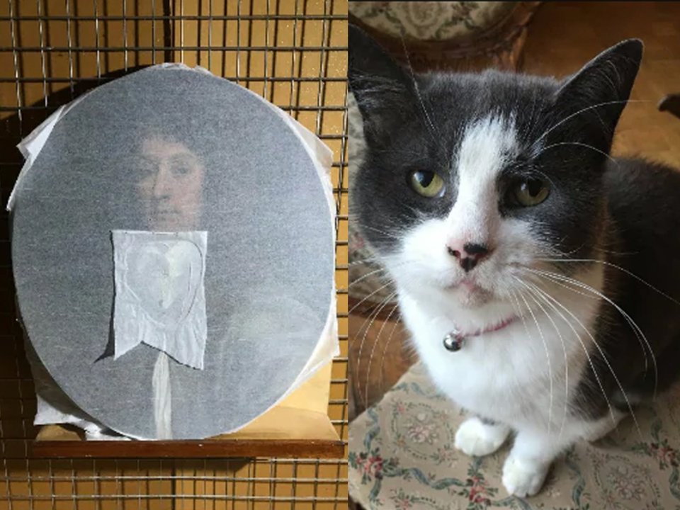 Μια γάτα, η Padme, κατέστρεψε έργο τέχνης σε εργαστήριο συντήρησης