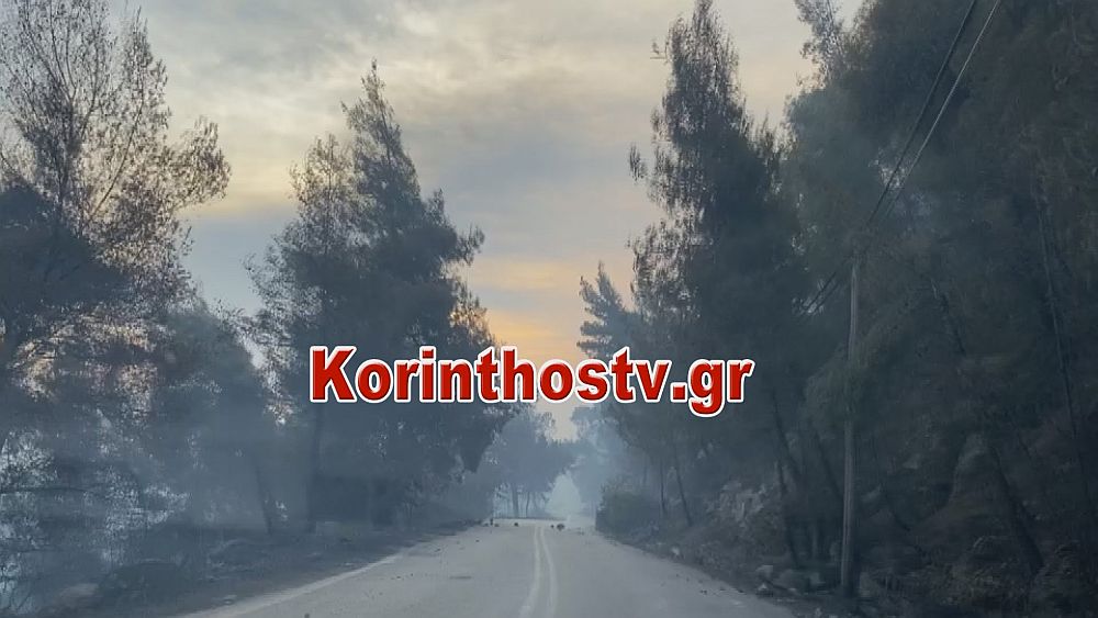 Φωτιά στον Σχίνο Κορινθίας: «Μάχη» των πυροσβεστών – Κάηκαν σπίτια και εκκενώθηκαν οικισμοί (Photos – Video)