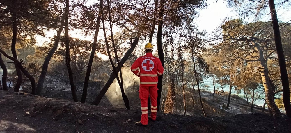 Φωτιά στην Κορινθία: Για τέταρτη ημέρα συνεχίζεται η καταστροφή – Διάσπαρτες εστίες (Photos/Videos)