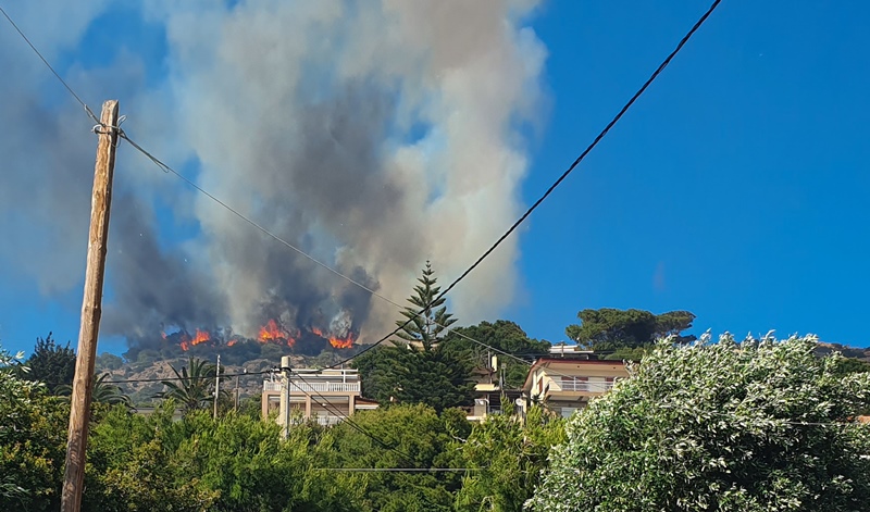 Πυρκαγιά σε δάσος στη Νέα Πέραμο Αττικής