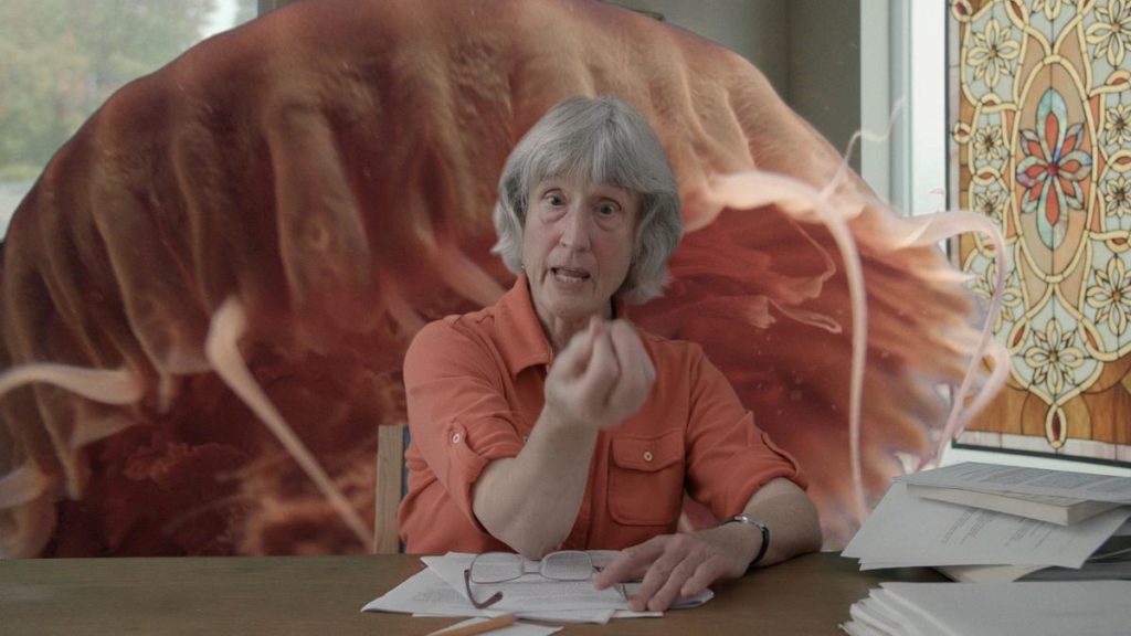 H ταινία «Donna Haraway: Storytelling for Earthly Survival» στον θερινό κινηματογράφο Λαΐς