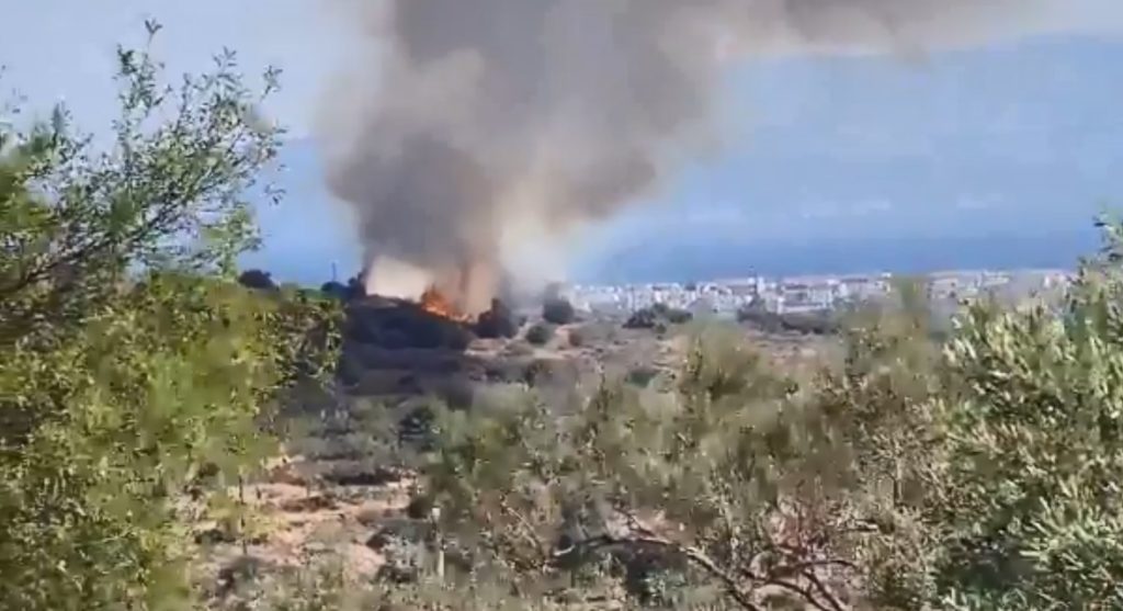 Φωτιά στην Αίγινα (Video)