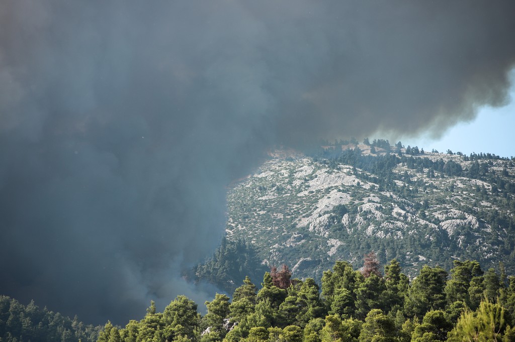 Φωτιά σε δασική έκταση στην Εύβοια