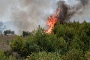 Πυροσβεστική: 40 αγροτοδασικές πυρκαγιές το τελευταίο 24ωρο &#8211; Οι 7 είναι σε εξέλιξη
