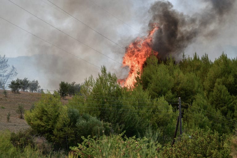 Πυροσβεστική: 40 αγροτοδασικές πυρκαγιές το τελευταίο 24ωρο – Οι 7 είναι σε εξέλιξη