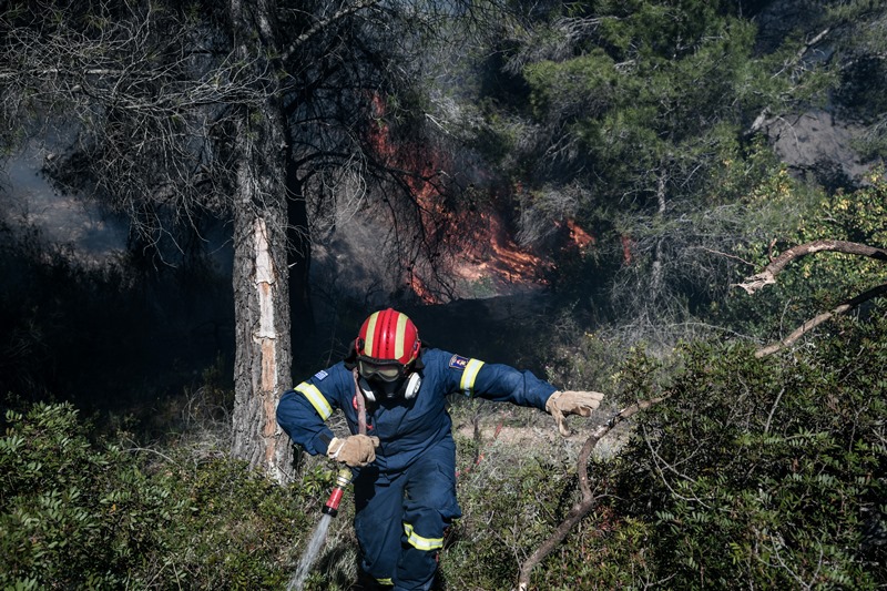 Φωτιά καίει δασική έκταση στην Κυανή Ακτή Ηλείας