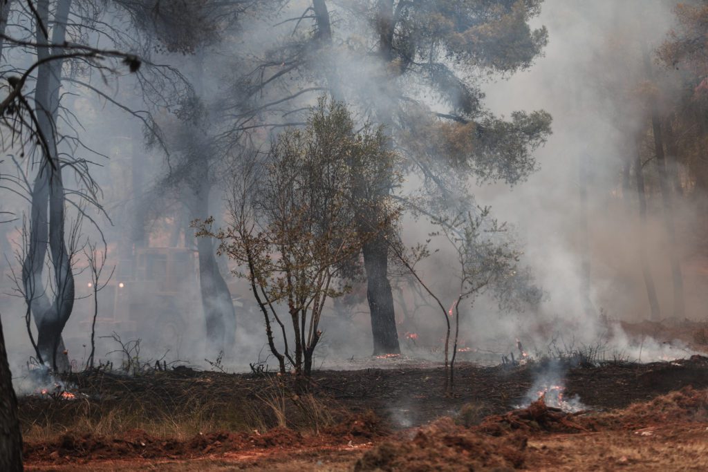 Πυρκαγιά στη Σταμάτα: Συγκλονιστικές φωτογραφίες από το πύρινο μέτωπο – Στις φλόγες σπίτια και οχήματα