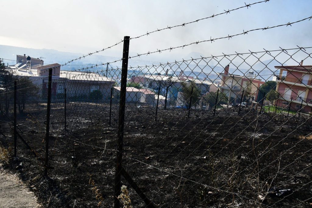 Πυρκαγιά στην Αχαϊα: Viral η φωτογραφία πυροσβέστη που δίνει νερό σε μια χελώνα που κατάφερε να επιβιώσει