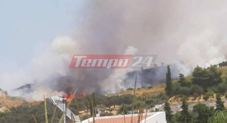 Νέα φωτιά κοντά στην Πάτρα: Εκκενώνονται σπίτια στην περιοχή του Προφήτη Ηλία (Video)