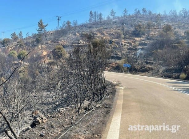 Καλύτερη η κατάσταση στη φωτιά της Χίου – Υπό μερικό έλεγχο η πυρκαγιά στην Ύδρα