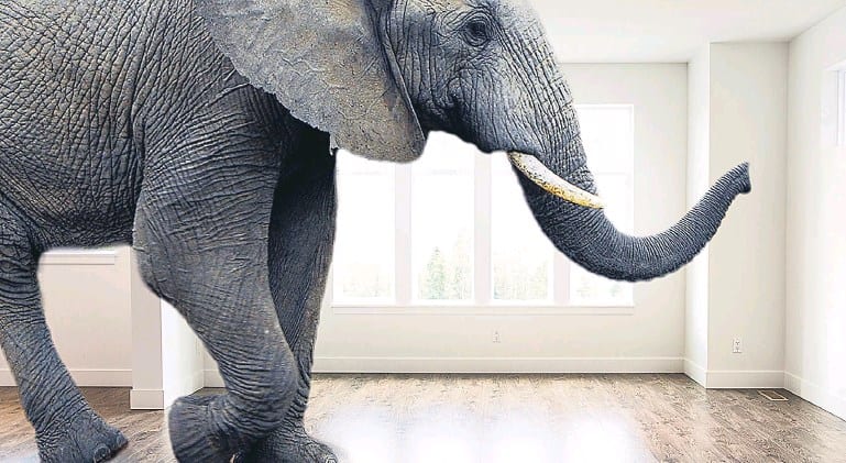 Ο ελέφαντας στο δωμάτιο