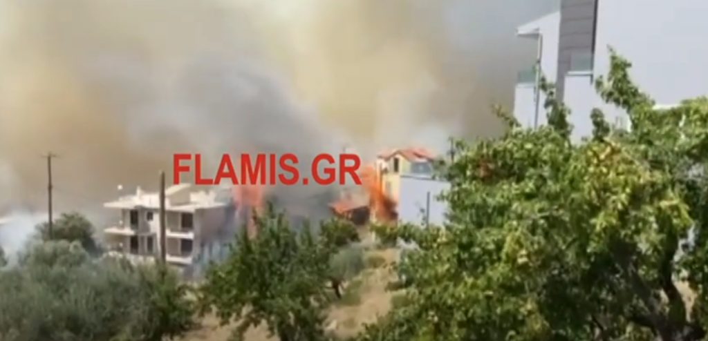 Πυρκαγιά στην Πάτρα: Εκκενώθηκε το Σούλι – Καίγονται σπίτια (Video)