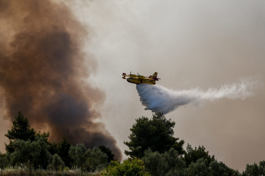 Αυξημένη κατά 300% η καμένη έκταση φέτος στην Ελλάδα μέχρι σήμερα